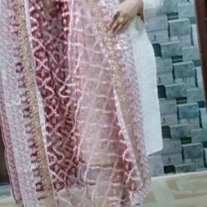 Heavy Embroidered Suit With Fancy Dupatta