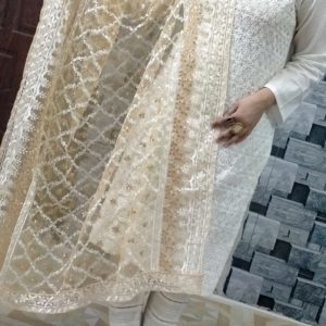 Heavy Embroidered Suit With Fancy Dupatta